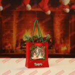 koledno prespapie chantichka elen